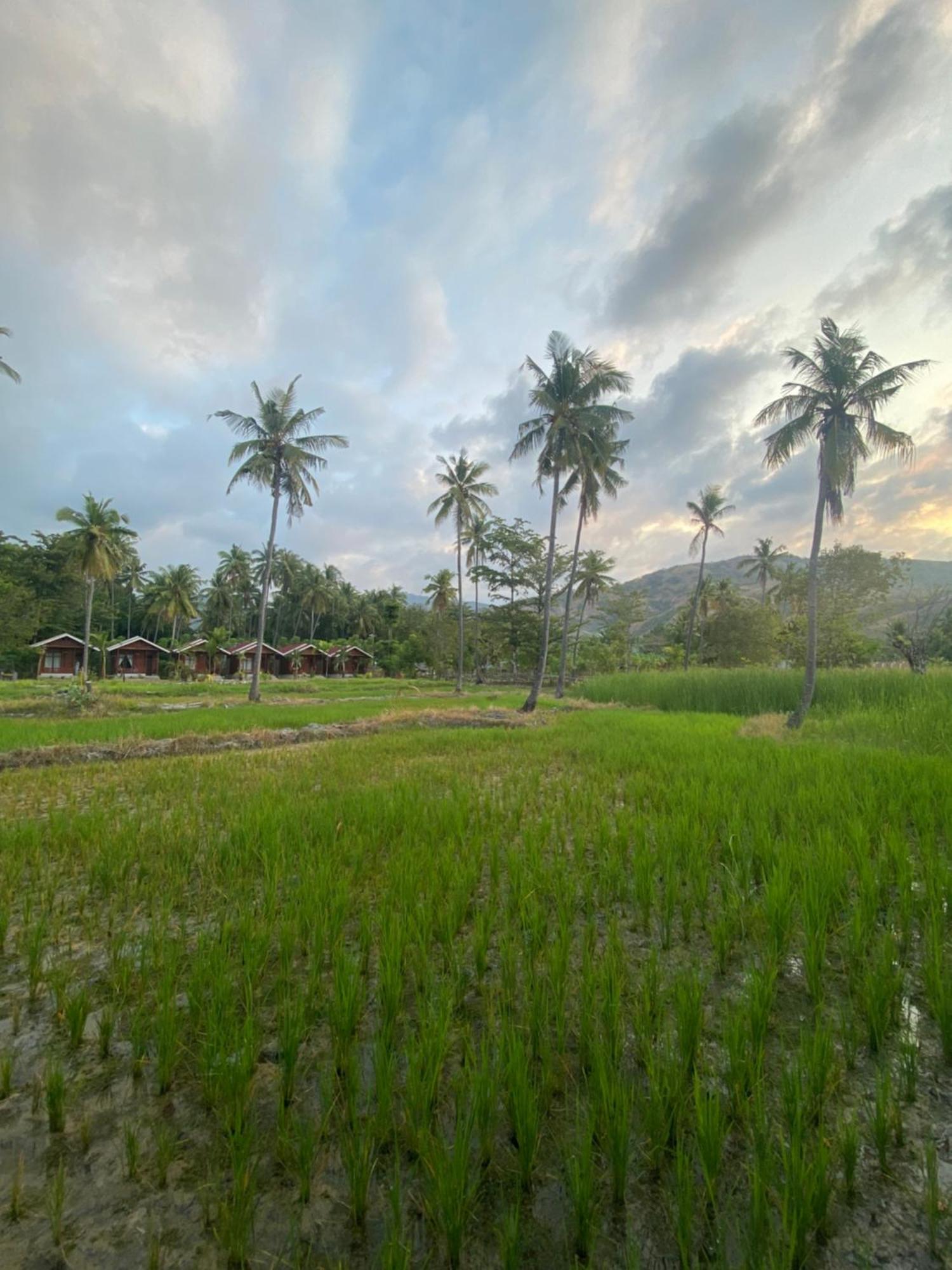 Nuna Bungalows Riung Esterno foto