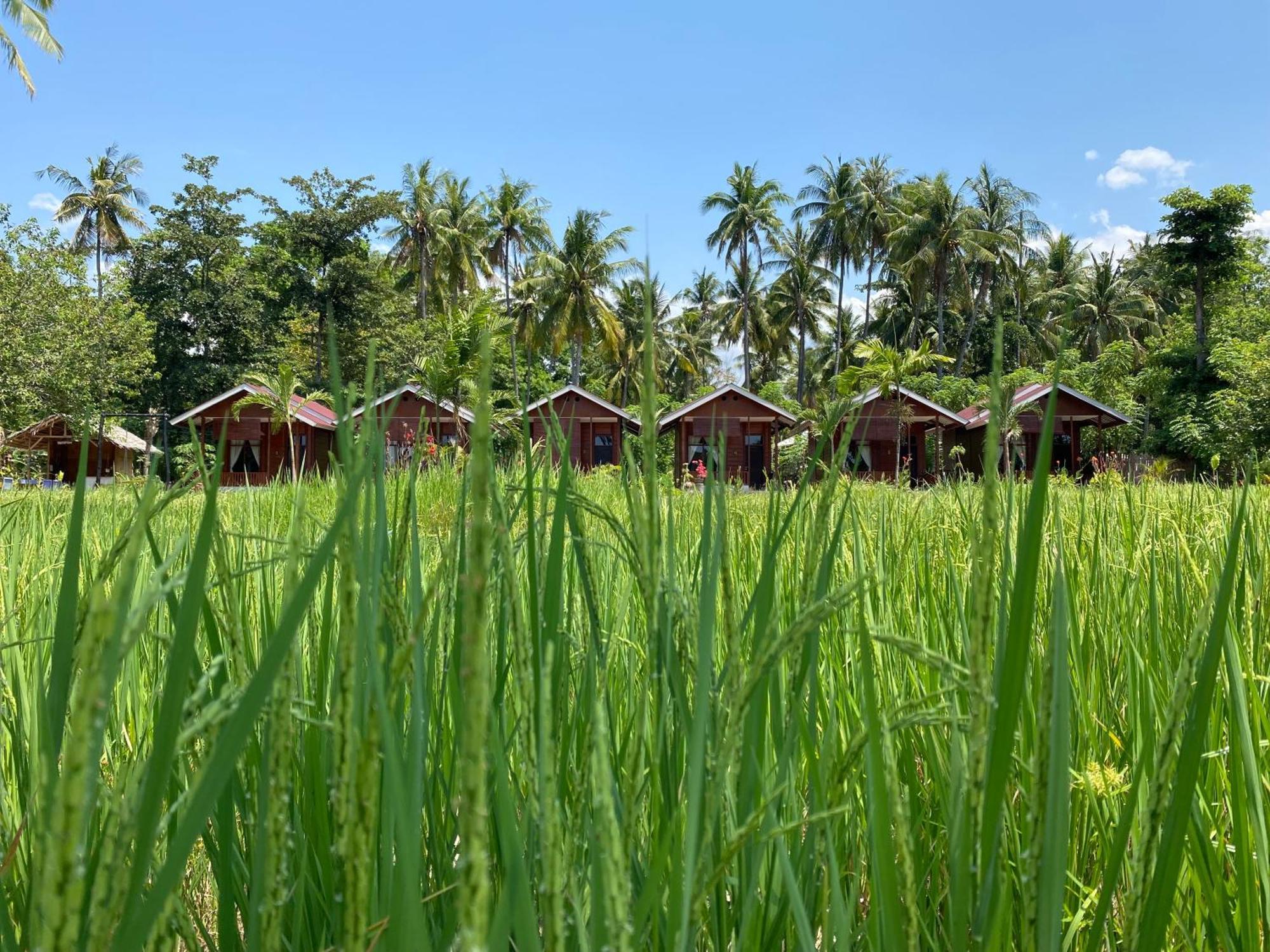 Nuna Bungalows Riung Esterno foto